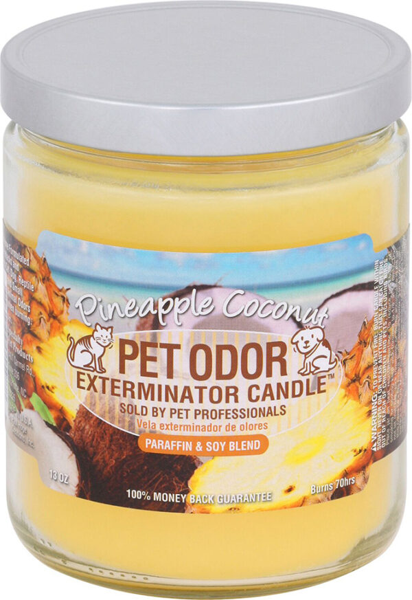 Pineapple Coconut Candle 13oz